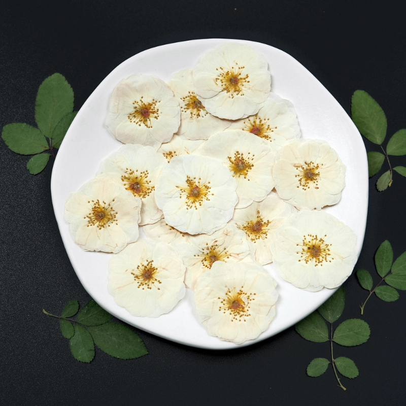 6pcs,9pcs,Nature White Rose Pr - Resin Craft Ideas incelemesi ve fiyatı
