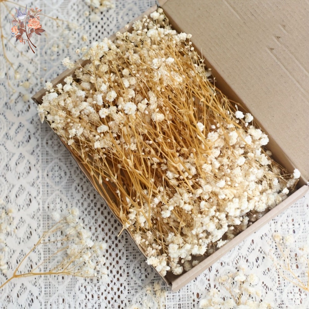100pcs Mini Dried Baby's Breat - Resin Craft Ideas incelemesi ve fiyatı